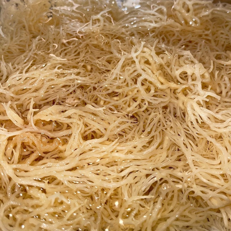 Dil's Organic Sea Moss